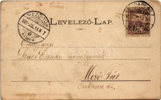 1901 Máramarossziget, Sighetu Marmatiei; madártávlatból. Mayer és Berger kiadása / general view (EK)