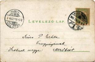 1905 Marosvásárhely, Targu Mures; Fő tér, Kossuth szobor, üzletek / main square, statue, shops (EK)