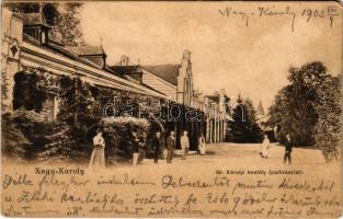 1903 Nagykároly, Carei; Gróf Károlyi kastély, park részlet. Csókás László kiadása / castle, park (EK)