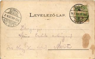 1903 Zilah, Zalau; látkép. Seres Samu kiadása / general view (EK)