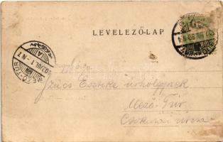 1902 Budapest XII. Szent János hegy csúcsa, Zugliget, Normafa. Divald Károly 172. sz. (Rb)