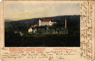 1907 Budakeszi, Erzsébet királyné szanatórium, a telep távlati képe. Erdélyi cs. és kir. udvari fényképész műintézetéből (EM)