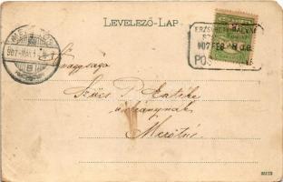 1907 Budakeszi, Erzsébet királyné szanatórium, a telep távlati képe. Erdélyi cs. és kir. udvari fény...