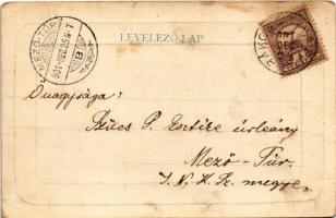 1901 Budapest XIII. Margitszigeti gyógyfürdő (EB)