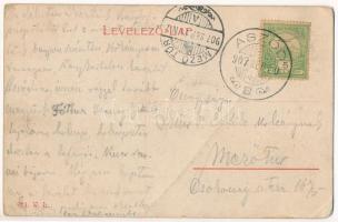 1907 Aszód, Báró Podmanitzky (Podmaniczky) Gyula kastélya. W.L. 924. (fa)