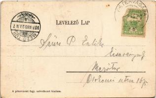 1907 Pétervására, Gróf Keglevich kastély. Fogyasztási szövetkezet kiadása (EK)