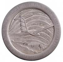 Ausztria 1989. "XXI. Siklórepülő Világbajnokság, Ausztria, Bécsújhely, 1989. május 13-28." fém sport emlékérem (78mm) T:2 Austria 1989. "World Paragliding Championships, Austria, Wiener Neustadt" metal sport commemorative medlalion (78mm) C:XF