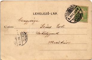 1903 Szarvas, Dr. Lengyel Sándor palotája, Sámuel Adolf üzlete, könyv- és papíráruháza és saját kiad...