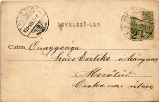 1903 Debrecen, Piac utca (felső rész) a Debreczeni Helyi Vasút Rt. (DHV) kisvasútjával, városi vasút...