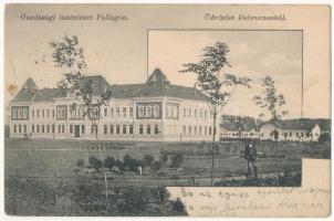 1905 Debrecen, Gazdasági tanintézet Pallagon. Pongrácz Géza kiadása (EB)