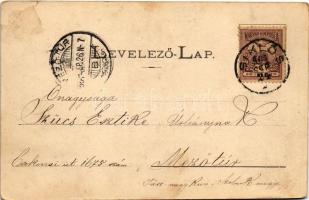 1901 Harkányfürdő, Park. Feiler Mariska kiadása (EK)