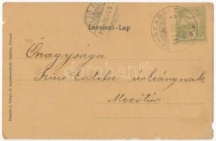 1904 Pécs, Püspöki rezidencia. Domján J. kiadása (b)