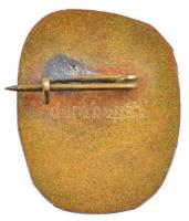 ~1970-1980. "Irinyi János Szakközépiskola" zománcozott Br iskolajelvény (23x19mm) T:2