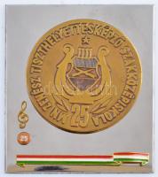 ~1975. "MN Néphadsereg Zenész Tiszthelyettesképző Szakközépiskola - 25" fém és Br, részben zománcozott emlékplakett eredeti dísztokban (106x91mm) T:1