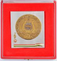 ~1975. "MN Néphadsereg Zenész Tiszthelyettesképző Szakközépiskola - 25" fém és Br, részben...