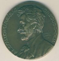 1933. Kisfaludy Társaság Greguss-díja "Csortos Gyulának - 1933" nagyalakú Br plakett Szign.: Berán T:2- RR!!