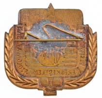 ~1970-1980. "Közért - A Szocialista Kereskedelem Szolgálatában" törzsgárda jelvény 10 év u...