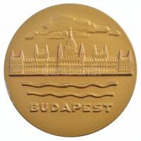 1989. Budapest hátoldalon gravírozva Országos Serdülő Kupa 89, eredeti tokban (70mm) T:1-