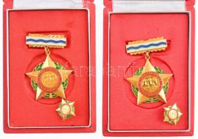 ~1980. "A Vízgazdálkodás Kiváló Dolgozója" aranyozott, műgyantás fém kitüntetés, miniatűrr...
