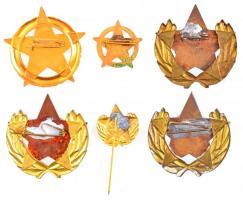 ~1960-1970. "A Belkereskedelem Kiváló Dolgozója" részben aranyozott bronz kitüntetés, ered...