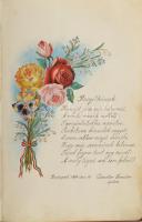 cca 1896-1903 Emlékkönyv több, részben rajzos bejegyzéssel, többségében magyar, kisebb részben magya...