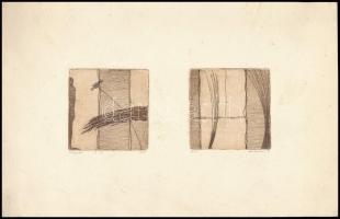 Koronczi Endre (1968-): Tripla. Rézkarc, akvatinta, papír, jelzett, X/4 számozással. 7x7 és 7x7 cm