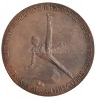 Tóth Gyula (1893-1970)(?) DN "Tulit Péter / Tulit Péter Nemzetközi kisdobos és úttörő tornász e...