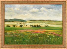 Borda jelzéssel: Tavaszi rét. ,,Lila virágos rét (Szinyei Merse Pál másolat) Olaj, vászon, fakeretben, 50x70cm