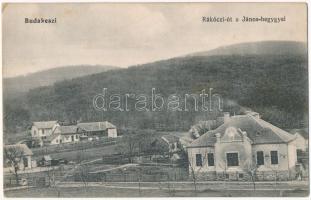 1916 Budakeszi, Rákóczi út, János-hegy