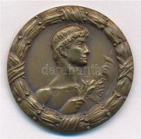 1924. "Alba Regia Atletikai Klub Székesfehérvár" kétoldalas Br emlékérem, "Ludvig&quo...