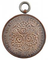 1923. "Kölcsey-gimnázium jubileumi versenydíja 1898-1923" kétoldalas ezüstözött Br díjérem...