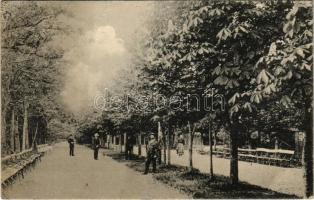 Kovászna, Covasna; fürdő sétatér / spa promenade (fa)