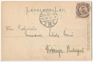 1900 Herkulesfürdő, Baile Herculane; Stengel & Co. Reliefkarte Emb