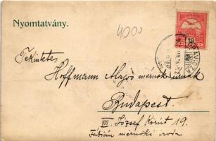 1907 Anina, Oravica-Anina, Oravita-Anina; Zsittini viadukt, vasúti híd, gőzmozdony, Polom-hegy szikl...