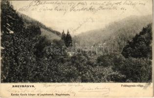 1909 Nagybánya, Baia Mare; Fokhagymás-völgy. Kovács Gyula kiadása / valley (EK)