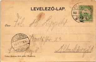 1901 Pozsony, Pressburg, Bratislava; Totale, Bahnhof, Stadt-Theater, Das Schloss / Városi színház, v...