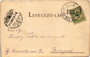 1902 Besztercebánya, Banská Bystrica; látkép. Ivánszky Elek kiadása / general view + "ZÓLYOM-BR...