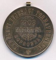 1903. Kerületi Ifjúsági Tornaverseny - 1903. május 21. Sopronban kétoldalas Cu emlékérem füllel (42mm) T:1- patina, ph