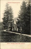 1913 Kistapolcsány, Topolcianky; Részlet a főhercegi parkból (Régi malomrom) / castle park, old mill ruins (fl)