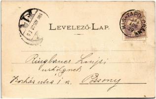 1900 Aranyosmarót, Zlaté Moravce; Takarékpénztár, Megyeház, Törvényszék, Eisenberg Károly üzlete. Bl...