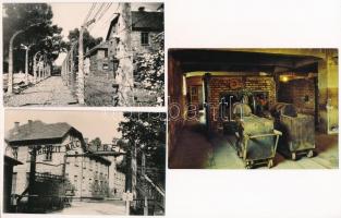 Auschwitz-Birkenau, Oswiecim-Brzezinka; Concentration camp / koncentrációs tábor - 3 db modern képeslap / 3 modern unused postcards