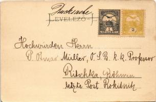 Árvaváralja, Oravsky Podzámok; Árva vára. Gansel Lipót 186. Dr. Pattantyús A. M. felvétele / Oravsky...