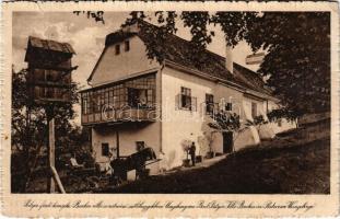 Pöstyén, Piestany; Bacchus villa a ratnóczi szőlőhegyekben / villa in the vineyards of Ratnovce (kis szakadás / small tear)