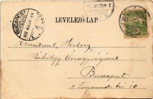 1903 Léva, Levice; Városháza, Lang Központi kávéháza, Kovács Sándor, Schweihs és Trebitsch, Amstette...