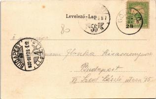 1902 Gödöllő, Királyi kastély eleje, Ferenc József vadászat közben. Nemesánszky Józsefné kiadása. Sz...