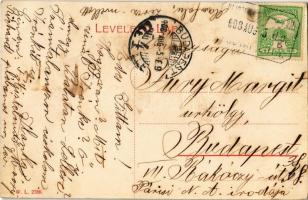 1908 Zirc, Katolikus zárda, lovaskocsi. W.L. 2788. (EK)