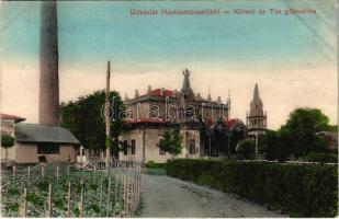 1910 Hajdúszoboszló, Körner és Társa gőzmalom. W.L. Bp. 2087. (EK)