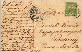 1909 Hajdúszoboszló, M. kir. állami polgári fiúiskola. W.L. 2093. (EB)