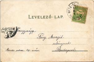 1904 Balaton, Halászat a Balatonon, gőzhajó, halászok. Reich Farkas (Siófok) kiadása (kopott sarkak ...