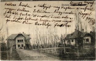 1905 Balatonboglár, Istenhozott villa, nyaralók. Faragó Sándor kiadása (EK)
